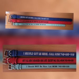  Personalized Dog Collar Leatherette 